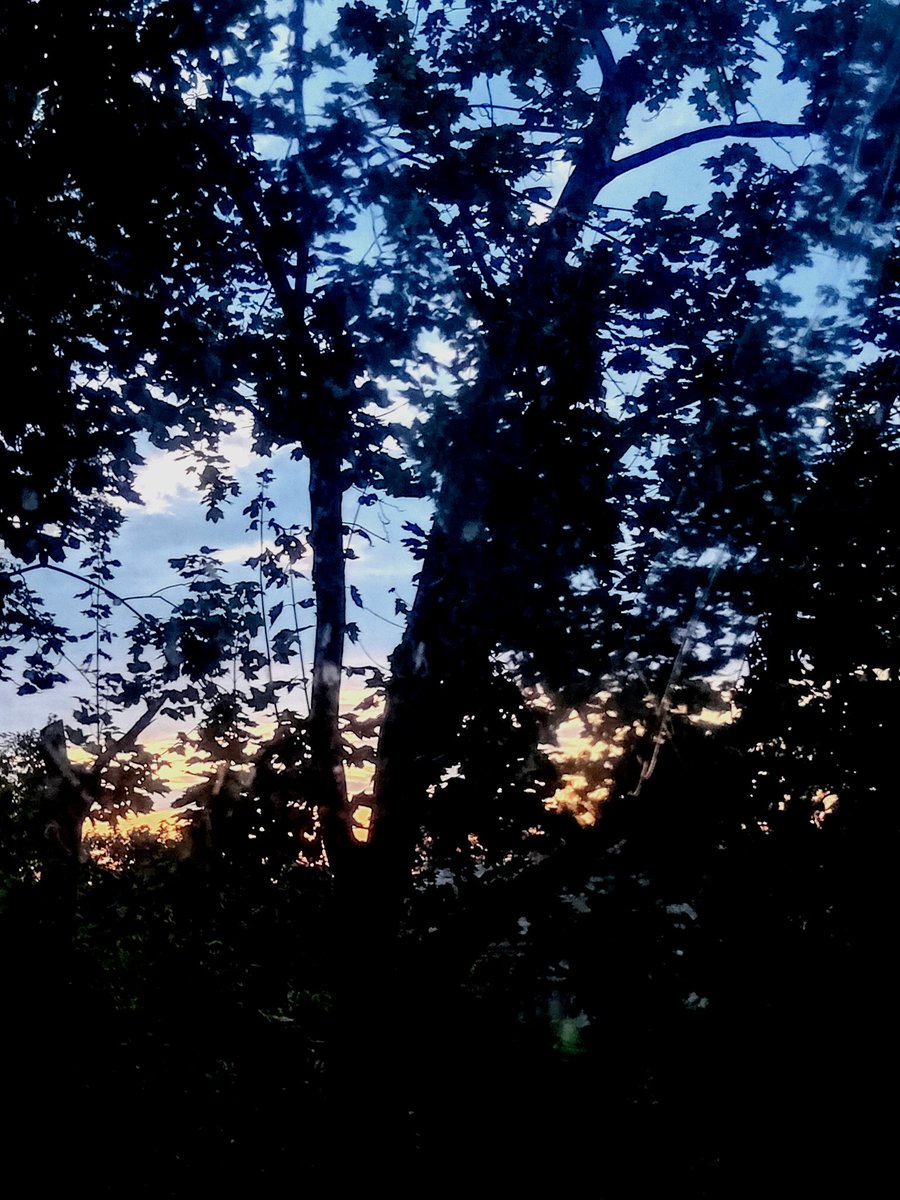 Катерина Галич tweet media