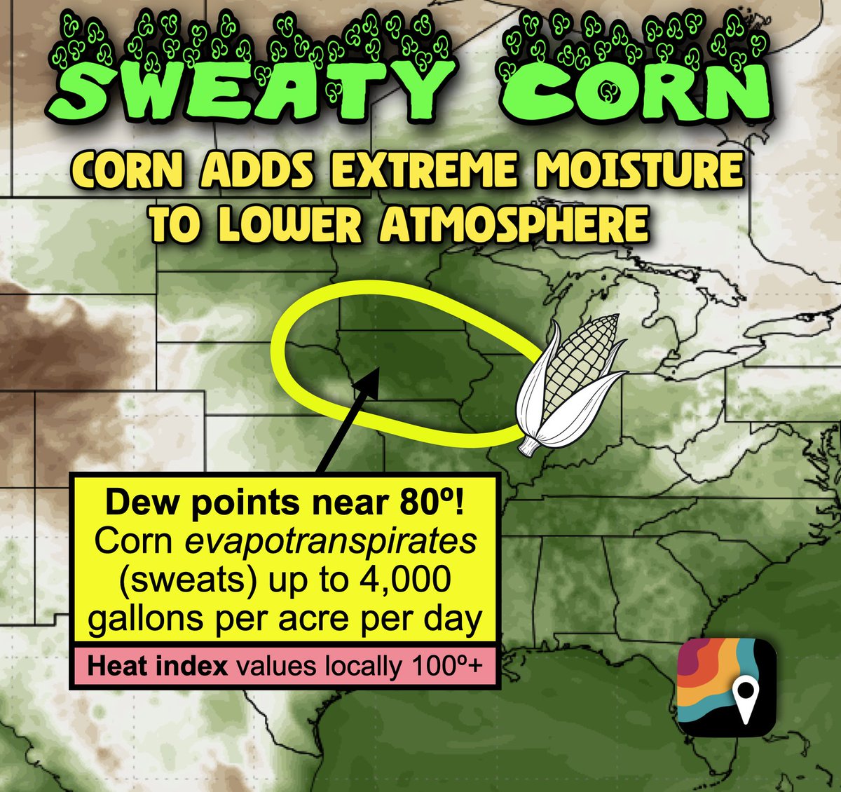 MyRadarWX's tweet image. SWEATY CORN is in the forecast for parts of the Upper Midwest and Corn Belt this week. The corn, which is "knee high by July," is evapotranspirating – akin to sweating – profusely. A single acre of corn can release up to 4,000 gallons of water into the lower atmosphere per day!…