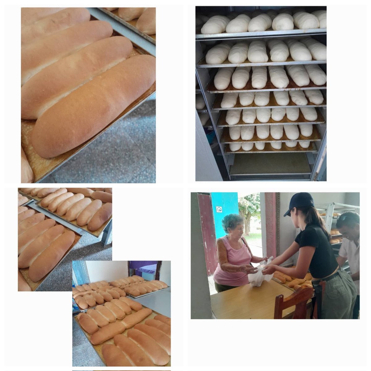 En saludo a la gesta del Moncada comienza hoy en #LaSierpe el Proyecto de Desarrollo Local Arte y Sabor dedicado a la producción de panes y dulces. 
#SanctiSpíritusEnMarcha <a href="/PartidoPCC/">Partido Comunista de Cuba</a> <a href="/AsambleaCuba/">Asamblea Nacional Cuba</a> <a href="/DiazCanelB/">Miguel Díaz-Canel Bermúdez</a> <a href="/DrRobertoMOjeda/">Dr. Roberto Morales Ojeda</a> <a href="/EduardoLopezL65/">Eduardo López Leyva</a> <a href="/anamarianpp/">Ana Mari Machado</a> <a href="/DeivyPrezMartn1/">Deivy Pérez Martín</a>