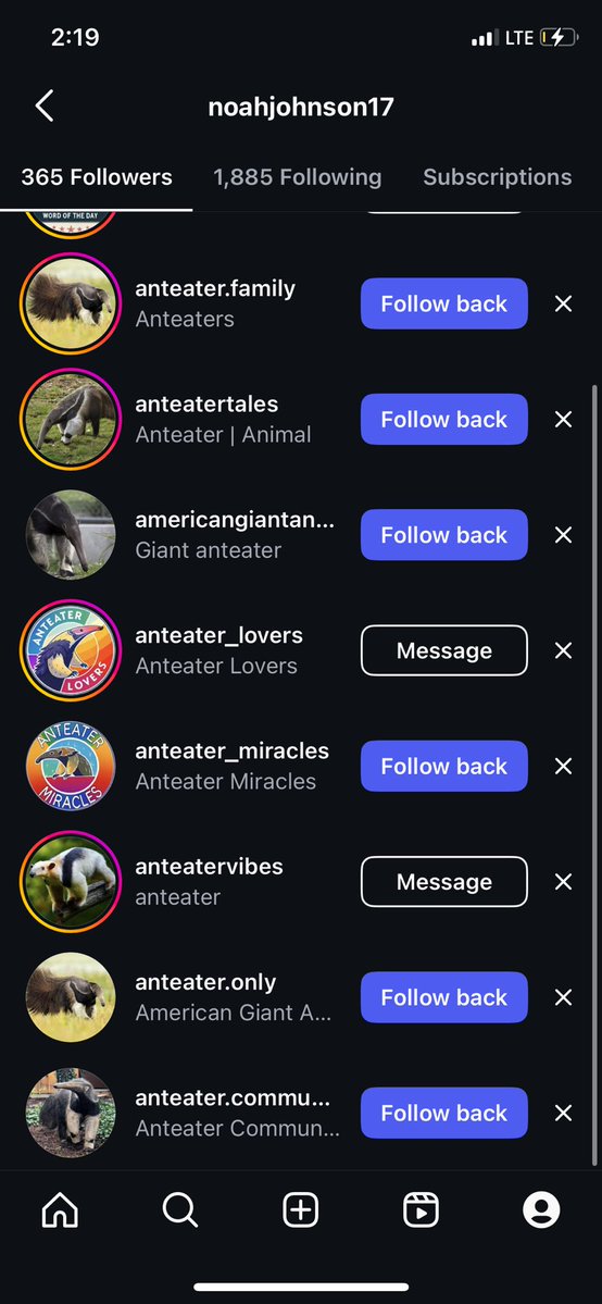 obtuse254843's tweet image. updated list of the anteater accounts that keep following me , i caved and followed some back 🫡 anteaters are getting more popular and i’m happy about that !!!