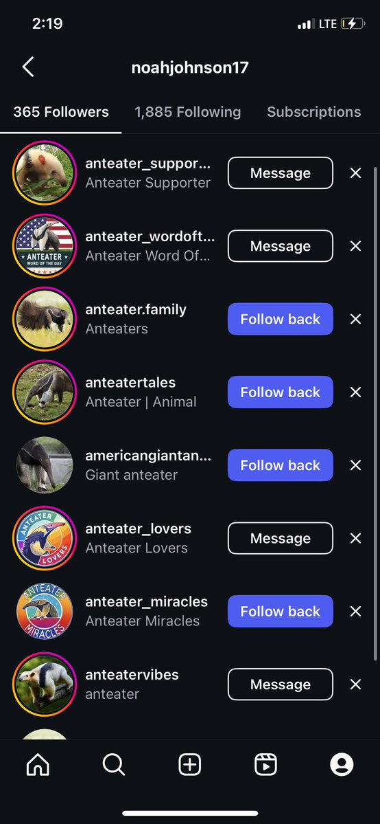 obtuse254843's tweet image. updated list of the anteater accounts that keep following me , i caved and followed some back 🫡 anteaters are getting more popular and i’m happy about that !!!