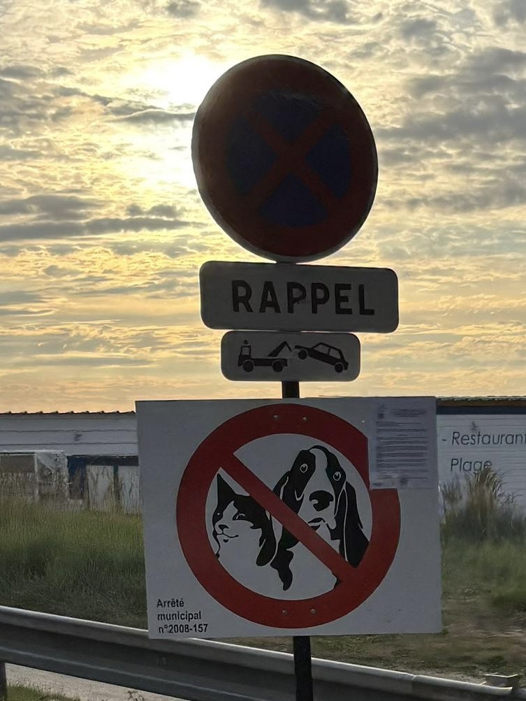 Humphrey Verbot?😱