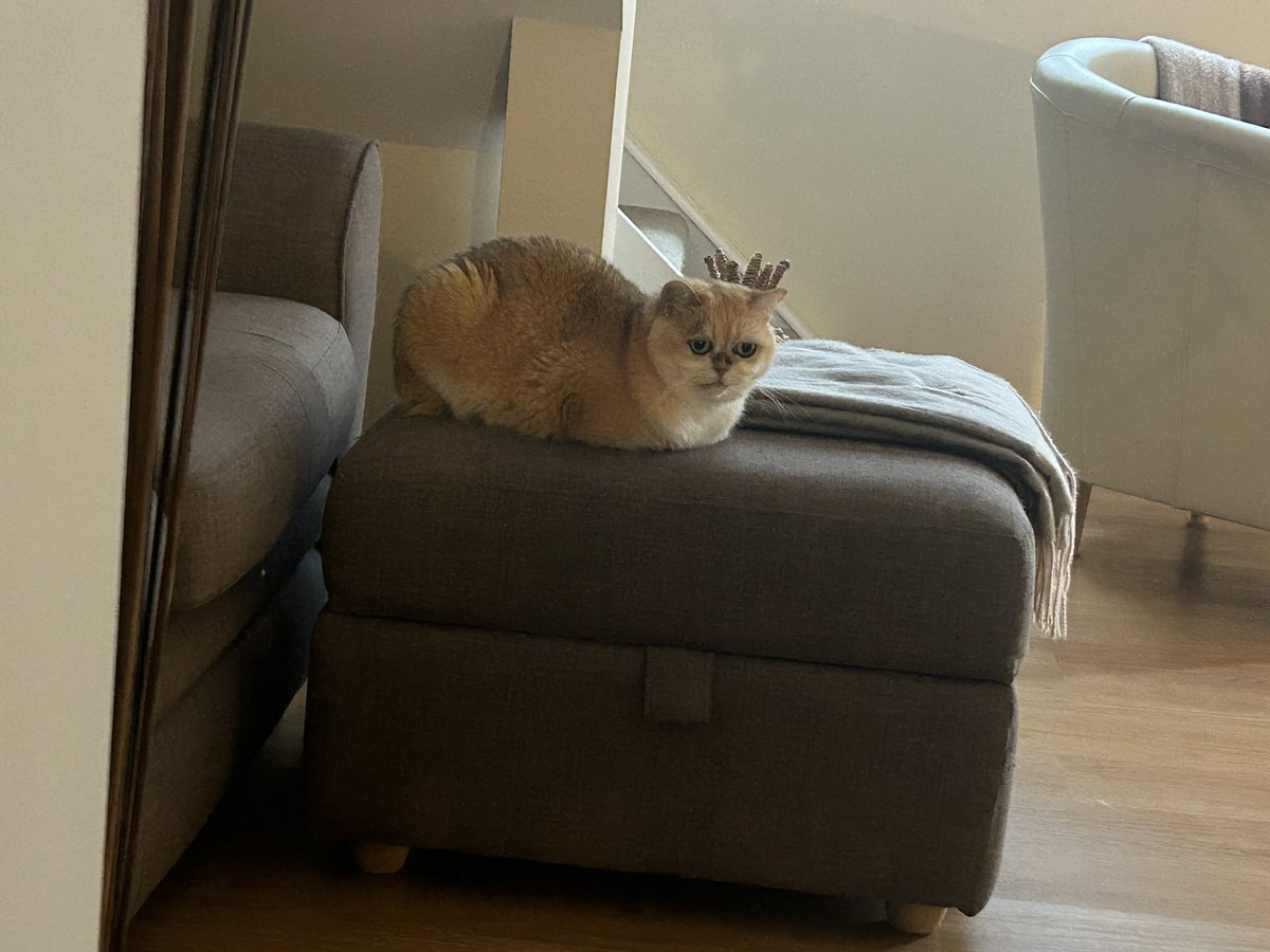 mimybug's tweet image. everyone tell her she made a good loaf right now