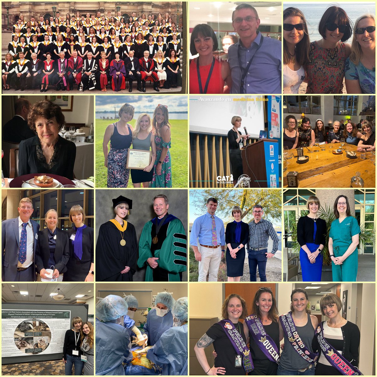 Dr. Karen Perry DECVS MSc Vet Ed (@karenlperryk) on Twitter photo This month marks 20 years since I graduated, along with a fabulous group, from the R(D)SVS and was welcomed as a member of the Royal College of Veterinary Surgeons <a href="/theRCVS/">Royal College of Veterinary Surgeons</a>
In remarkable synchrony, this week I received an email that I had been welcomed as a Fellow of the Royal This month marks 20 years since I graduated, along with a fabulous group, from the R(D)SVS and was welcomed as a member of the Royal College of Veterinary Surgeons <a href="/theRCVS/">Royal College of Veterinary Surgeons</a>
In remarkable synchrony, this week I received an email that I had been welcomed as a Fellow of the Royal