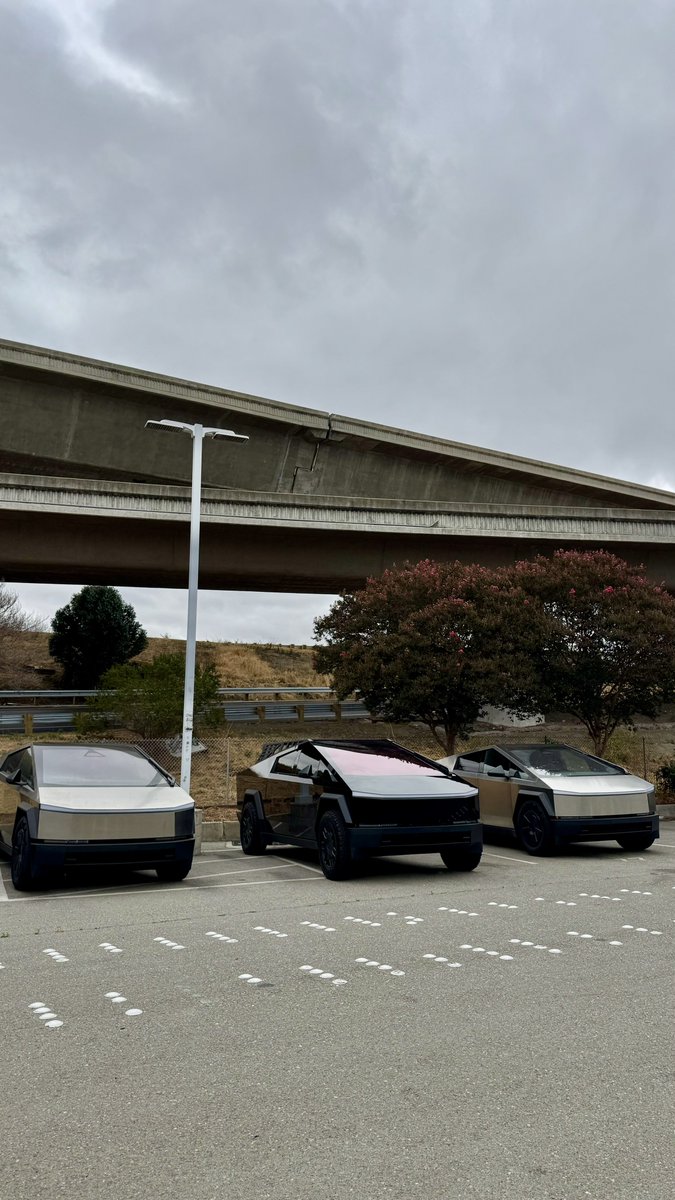 RyanTorresTesla's tweet image. Hanging with some new Cybertruck friends. I cannot stop staring at my new wrap from @flexishieldusa