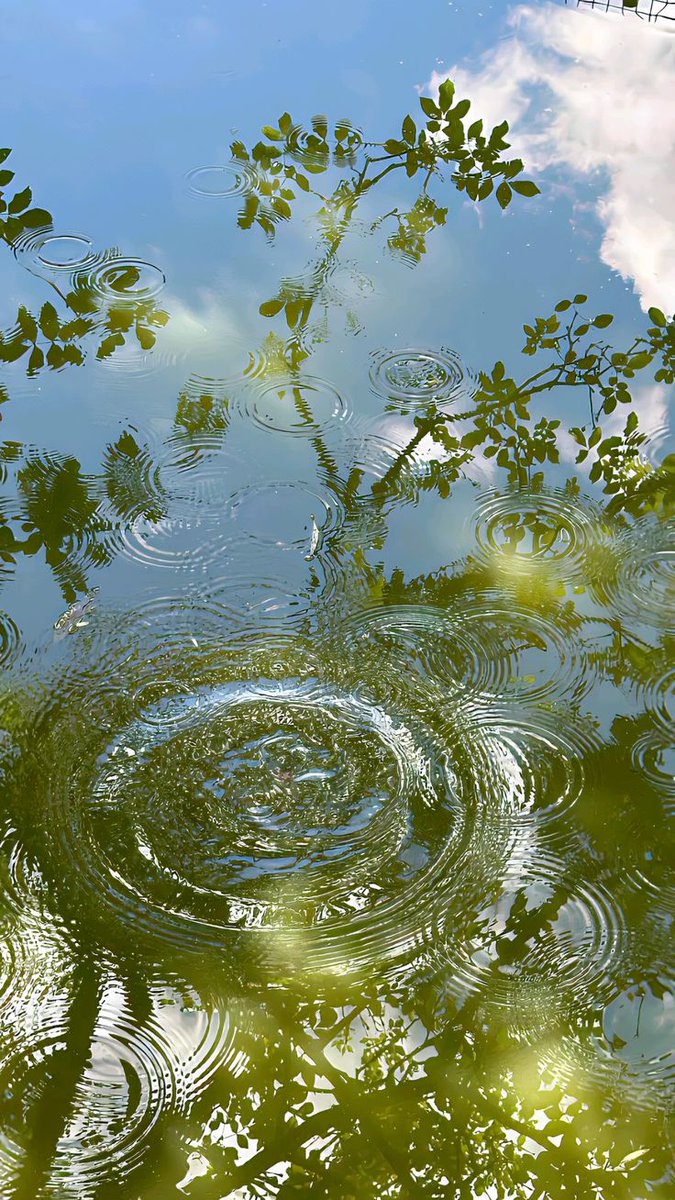 greenvibe's tweet photo. nature https://t.co/j08X4NfsYl