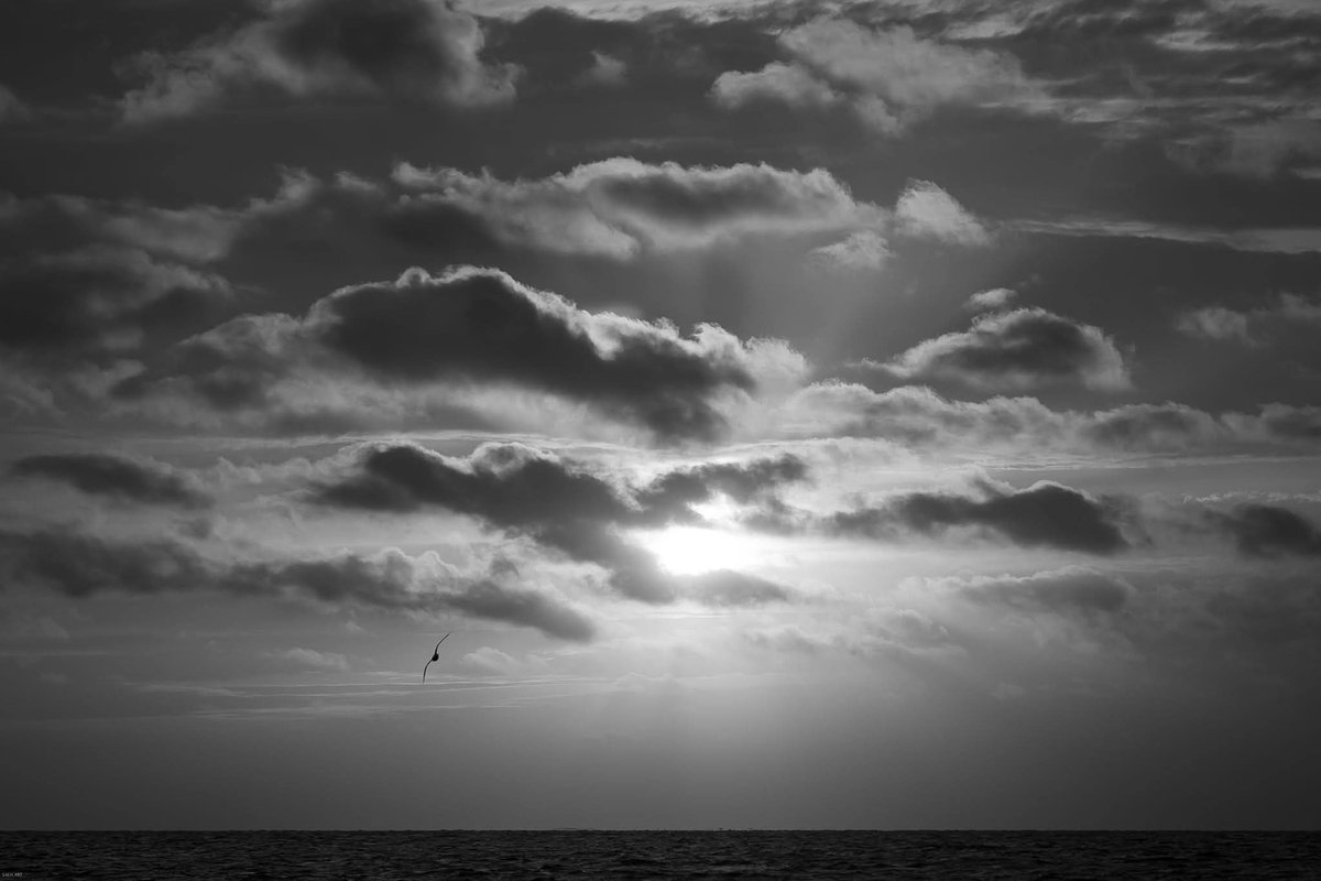 Less sky. More silence.