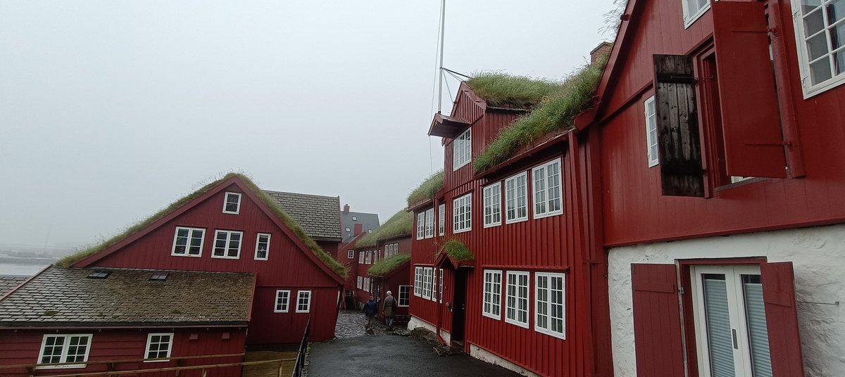 No vives en #FaroeIslands si el tejado de tu casa no tiene un jardín...🥰