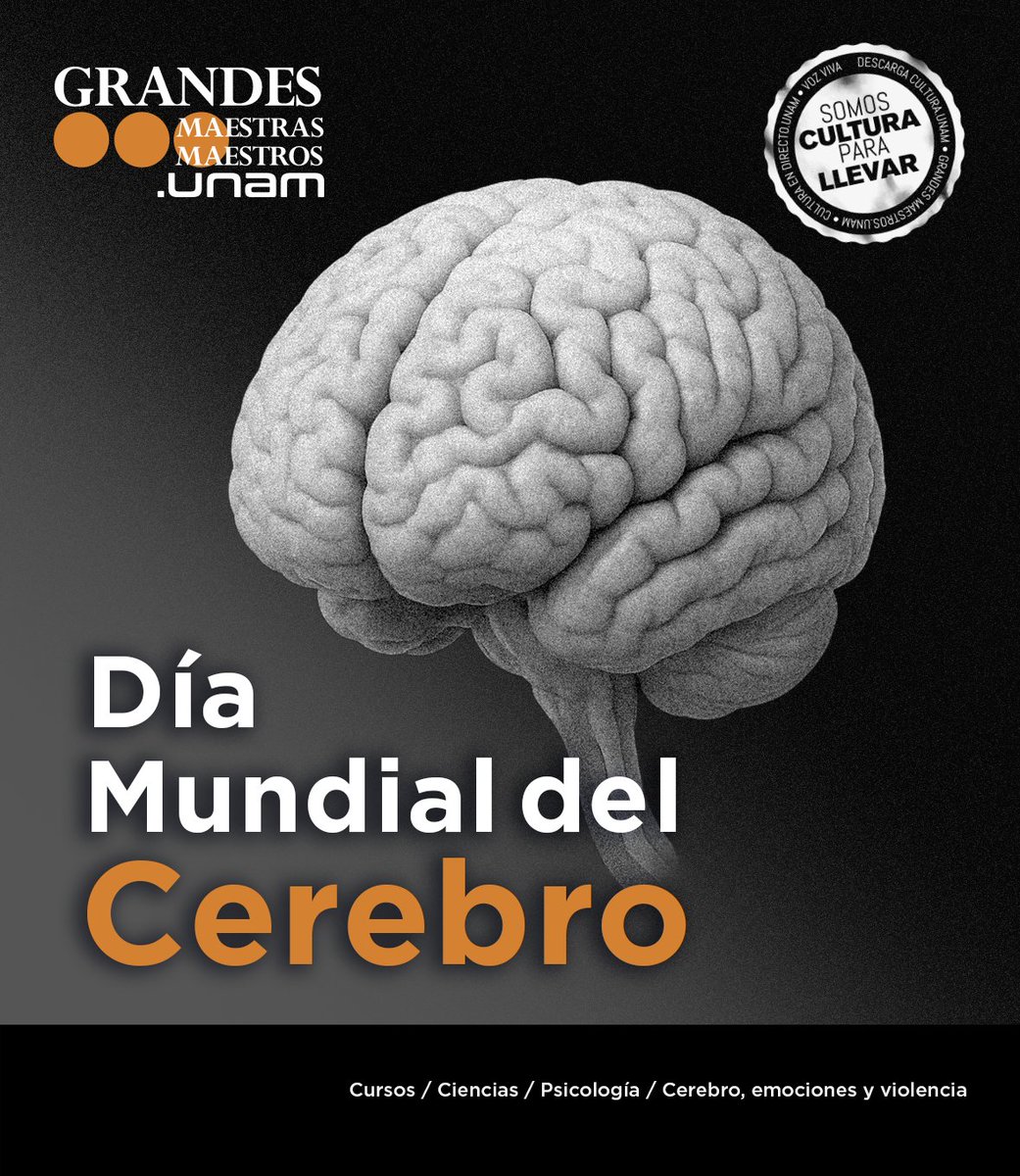 GrandesMaestros.UNAM (@grandesmaestros) on Twitter photo ¿Por qué algunas personas reaccionan con violencia y otras con empatía?
👁️ La neurociencia tiene pistas.
🎓 En el #DíaMundialDelCerebro descúbrelas en el curso impartido por la experta en neuropsicología <a href="/feggyostrosky/">Feggy Ostrosky</a> en Grandes Maestros.UNAM.🧠 bit.ly/3nJYUKv ¿Por qué algunas personas reaccionan con violencia y otras con empatía?
👁️ La neurociencia tiene pistas.
🎓 En el #DíaMundialDelCerebro descúbrelas en el curso impartido por la experta en neuropsicología <a href="/feggyostrosky/">Feggy Ostrosky</a> en Grandes Maestros.UNAM.🧠 bit.ly/3nJYUKv