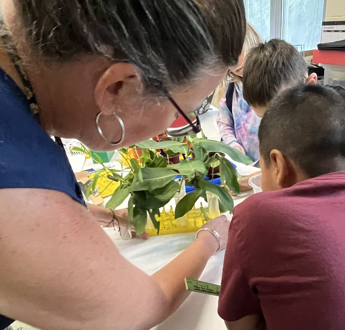 Mrs. Carlson@LMES_Teacher tweet media