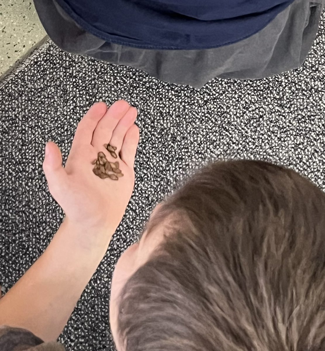 Mrs. Carlson@LMES_Teacher tweet media