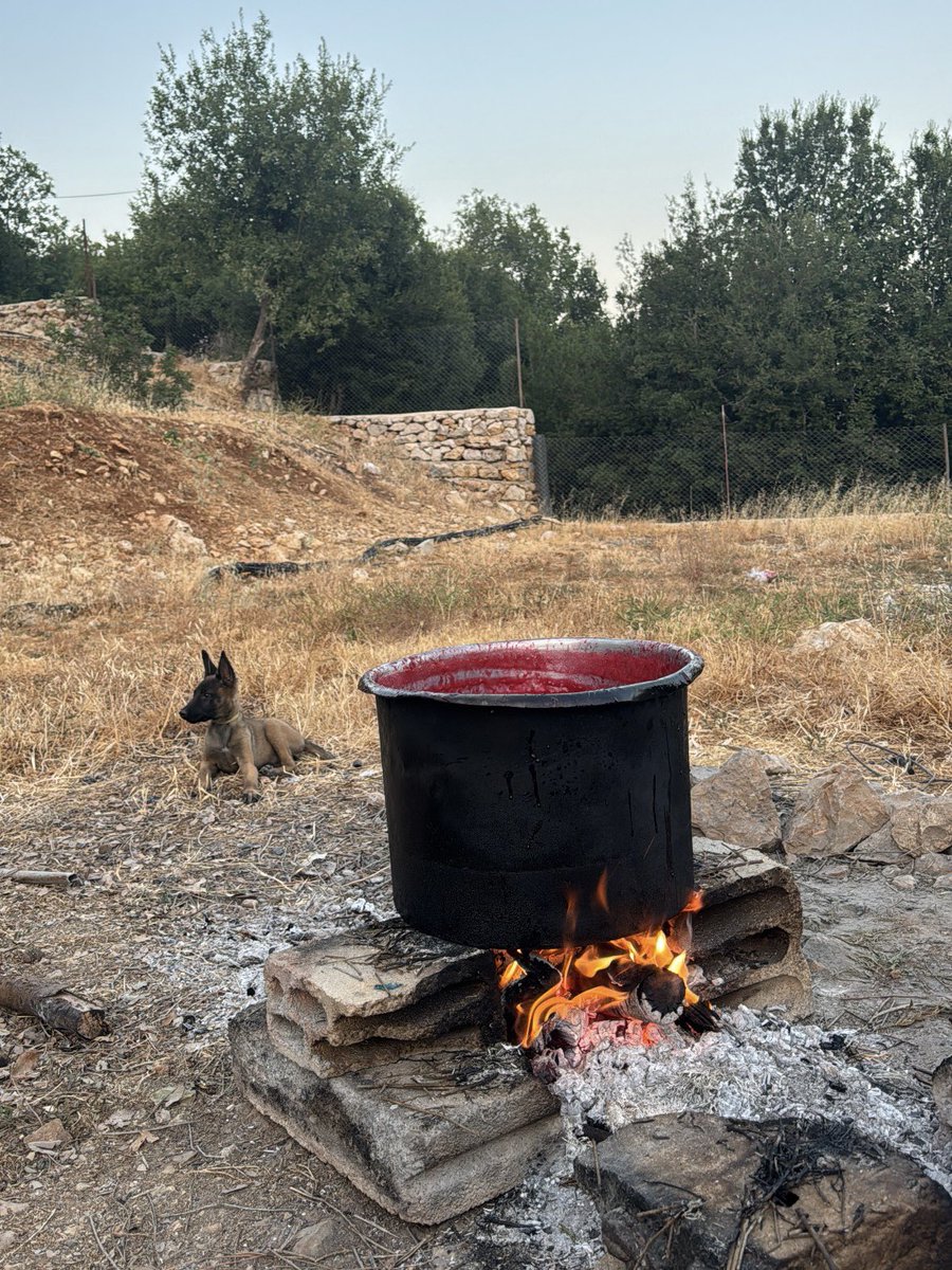 VeryyVanilla's tweet image. Cinnamon Red Plum Jam, Corn, to be stored for winter provisions
