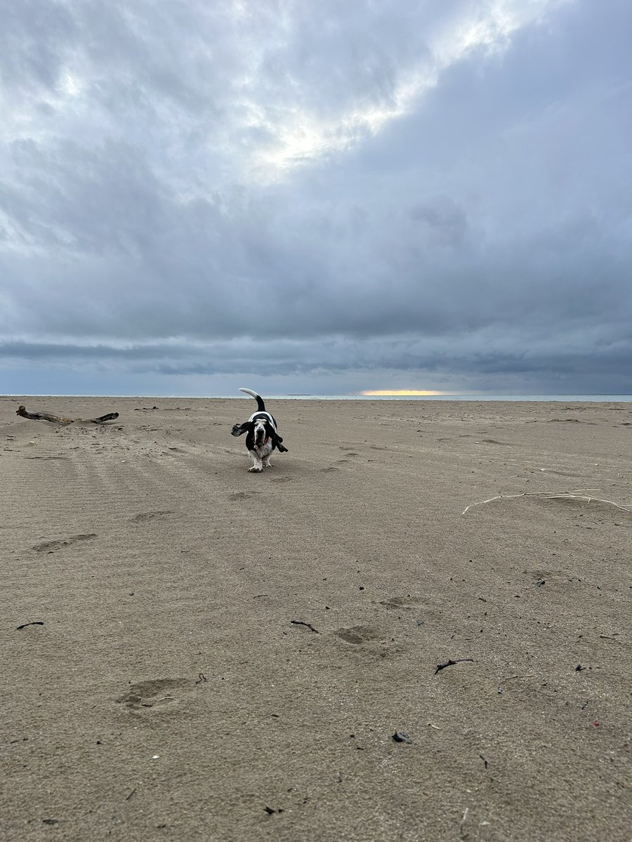 Letzter Tag am Strand.