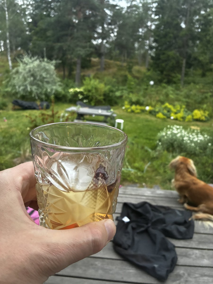 markus_uvell's tweet image. Pustar ut efter en varm men blåsig dag på sjön med en Old Fashioned, så som den bör blandas: på Wild Turkey 101. Allt medan Doris håller rådjuren borta med sin hotfulla uppsyn. 🥃🦃