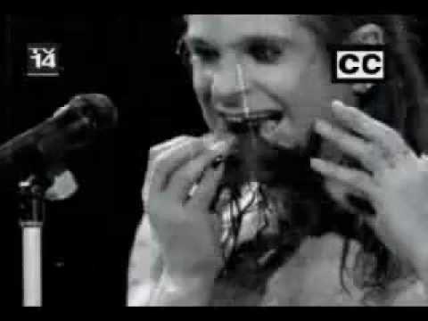 Christy4Change's tweet image. The bat has had a lot of time to prepare for his reunion with Ozzy