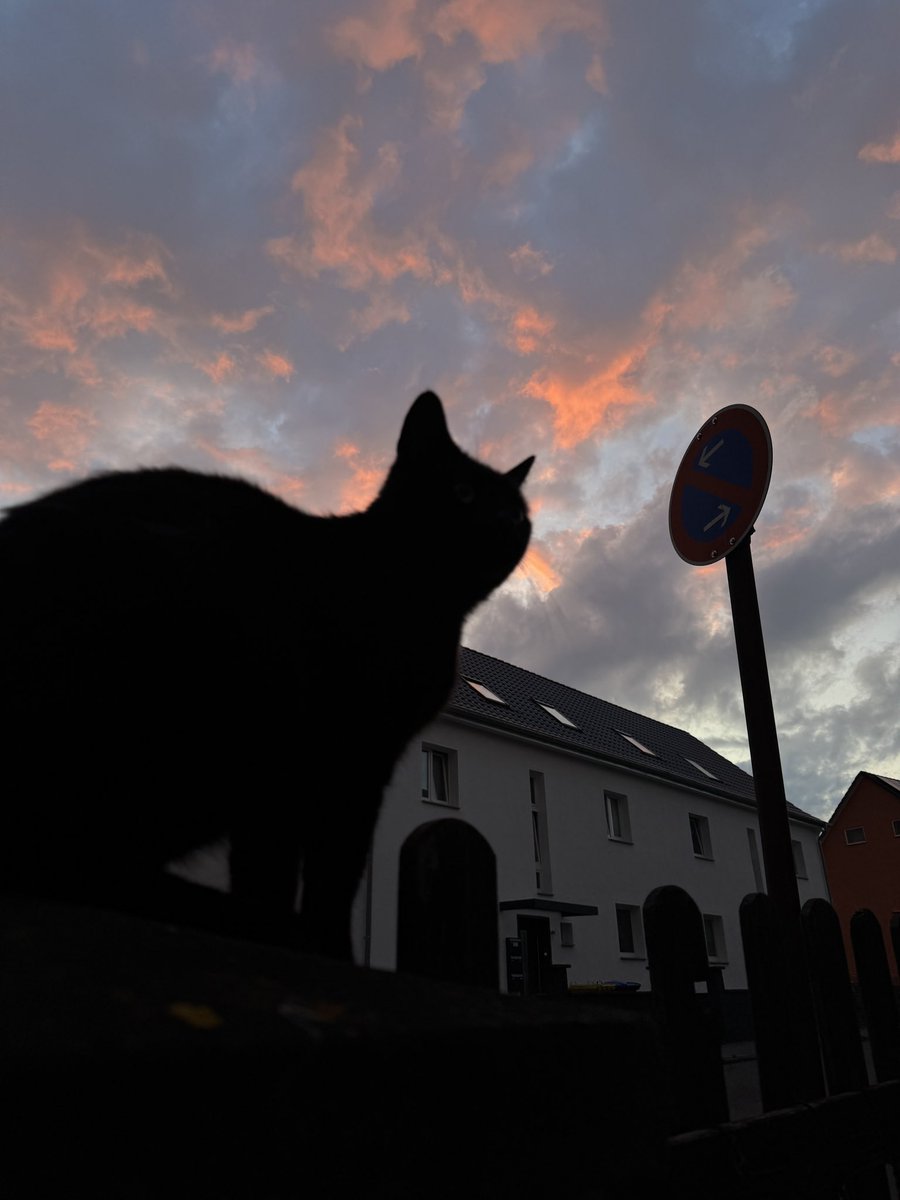 WH1TEEND tweet media