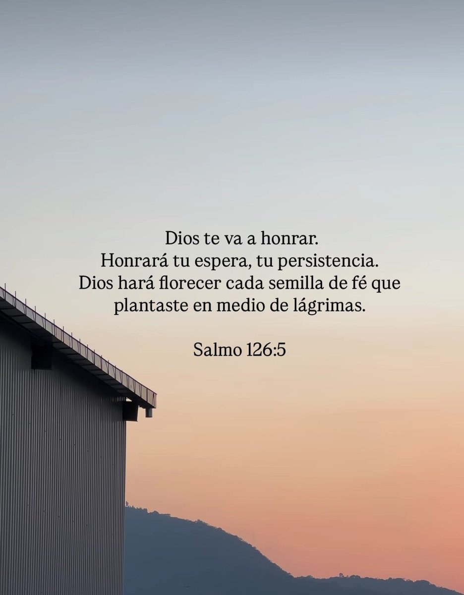 El Salmista tweet media