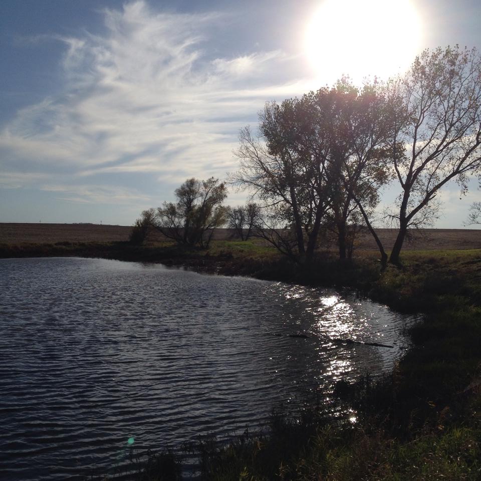 The Graff Pond is situated next to the parking lot at the Homestead Heritage Center. It is named for the Graff family who, like Daniel Freeman, homesteaded. In fact, the Freeman and Graff families helped each other out, like most homesteading neighbors. 

Image: Graff Pond/NPS