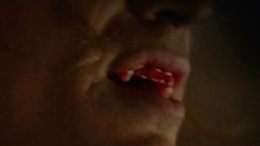 thisredwine's tweet image. i'm trying to tweet this in a way that isn't objectifying and failing miserably but here are all of lestat's scars that we've seen so far