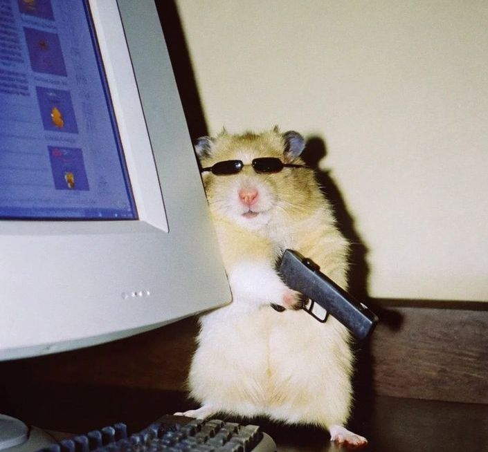 HealthYSolSoap's tweet image. When I'm scrolling twitter at 11 pm and hear a random noise outside
