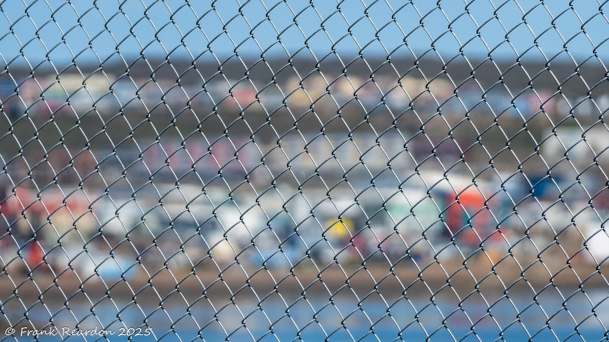 FrankReardon1's tweet image. โDon't ever take a fence down until you know why it was put up.โ
โ Robert Frost