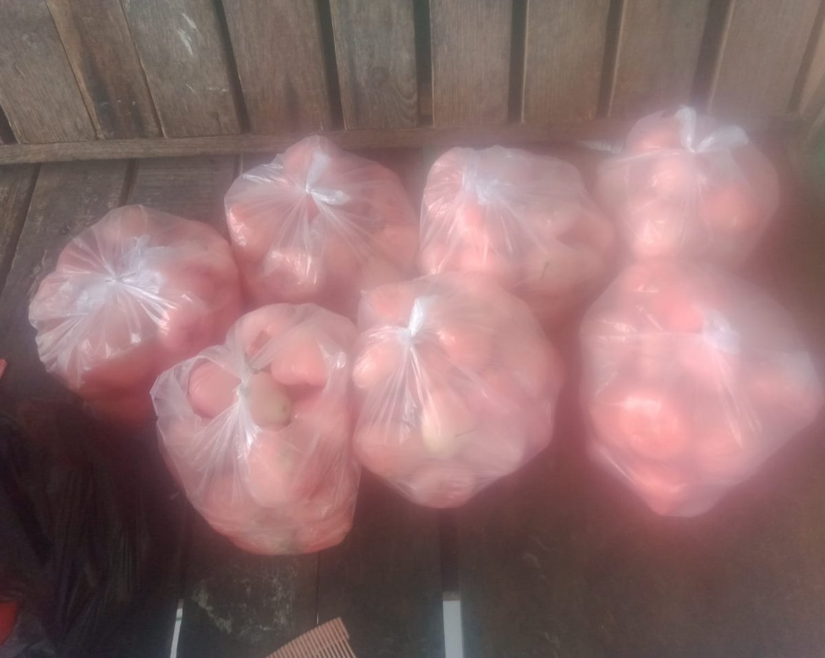 istiqomahyu's tweet photo. Mau cerita, sore tadi ada anak kecil yang dateng kerumah. Dia bawa jambu sebanyak ini, ternyata anak kecil ini pernah ikutan antri ambil makanan jum'at berkah di rumah beberapa jum'at yang lalu.
*Ga sempet moto anaknya, karna gw hectic banget lagi live jualan bunga. https://t.co/rLoE6Kn8oF