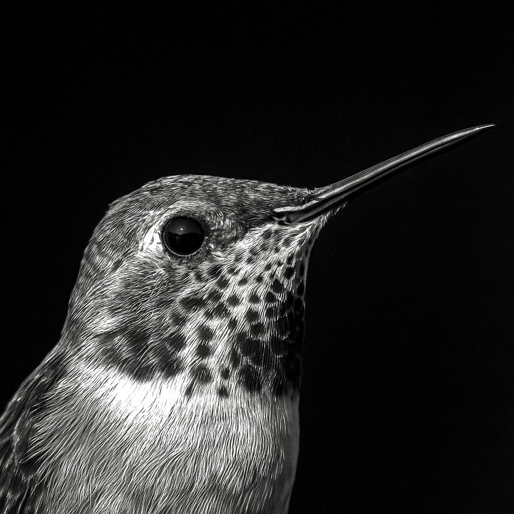 BethDuncan, M.Ed tweet media