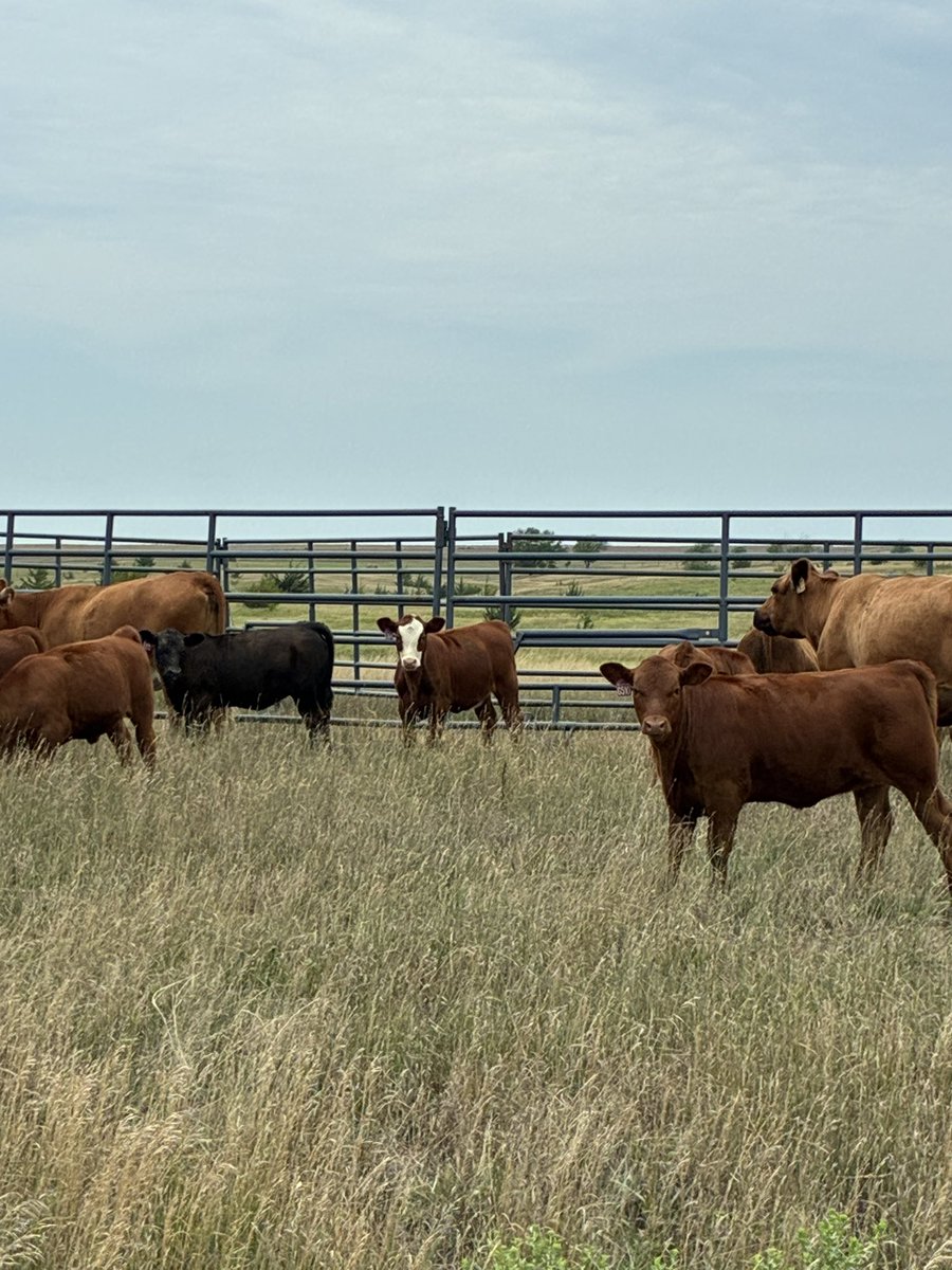2-5” of rain over night