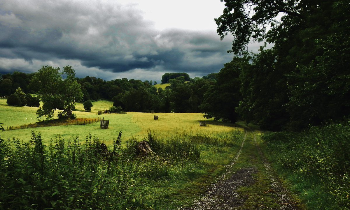 AledHall's tweet image. Nos da i chi gyd o’r gorllewin gwyllt…cymylau bygythiol a chaeau gwyrdd🩶💚🏴
Nos da everyone from the wild west…threatening clouds and green fields🩶💚🏴
#westisbest🏴