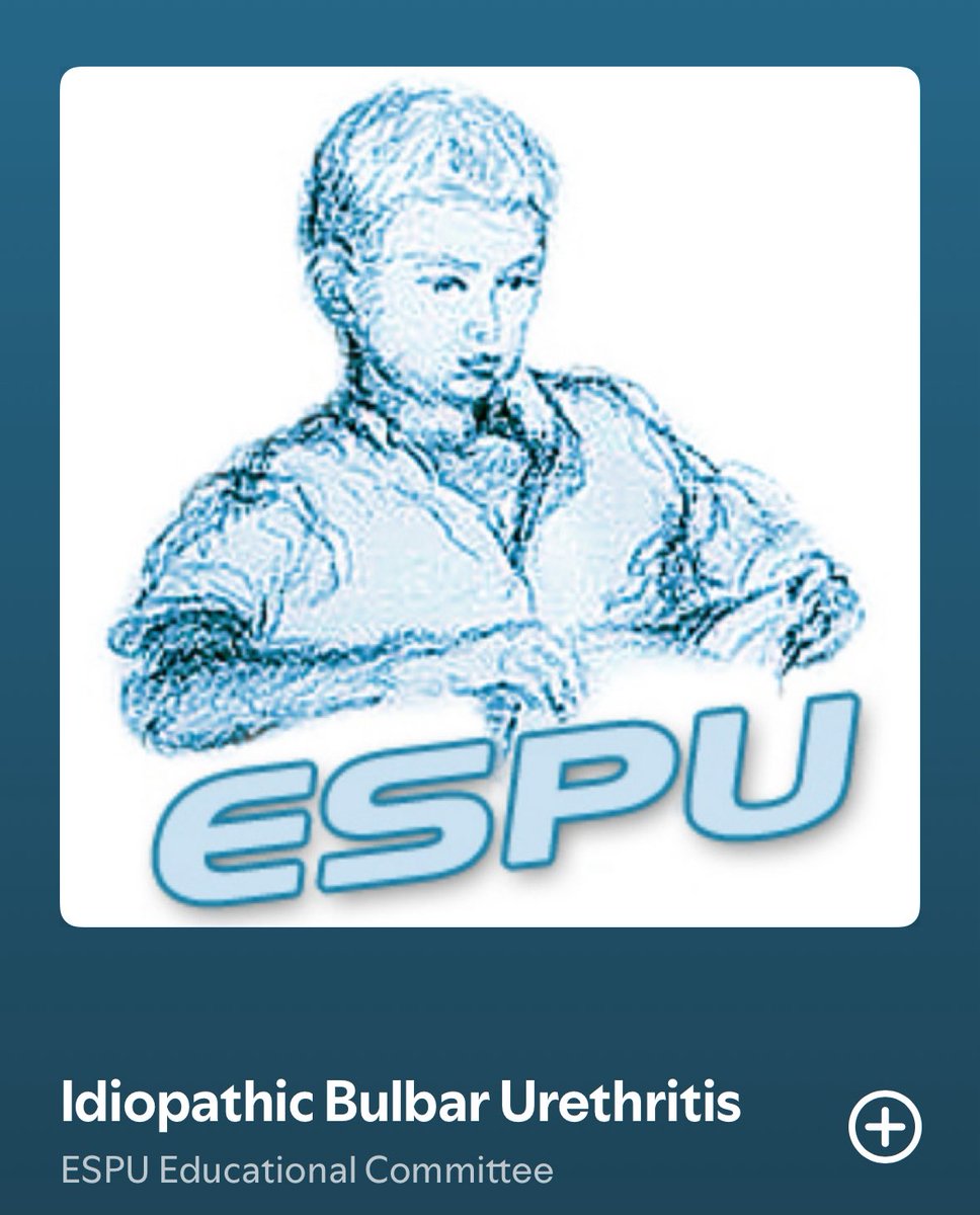 Bilge Turedi tweet media