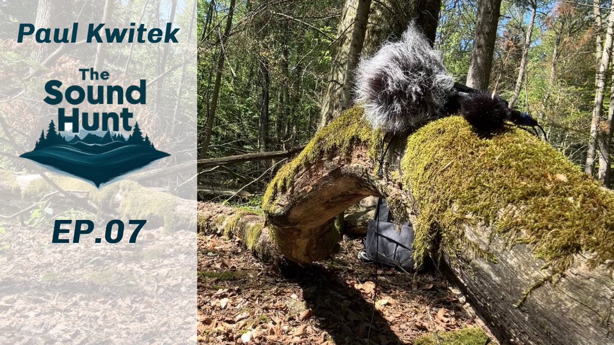 Nature has become my recording studio for the summer.
Here is the latest episode of me walking around in forests recording sounds..  
#NatureLovers  #fieldrecording

youtu.be/Q0m4HISN8Vc