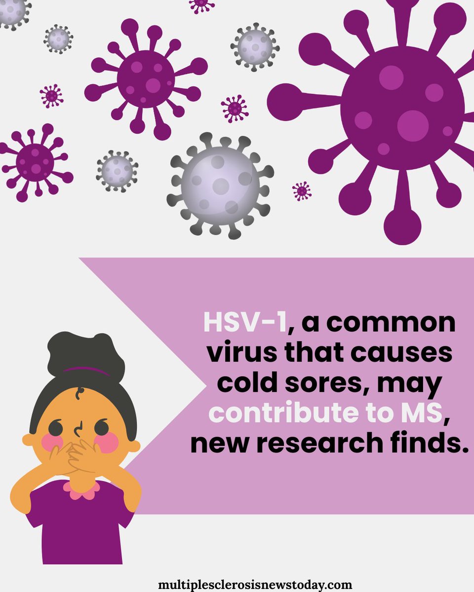 MSNewsToday's tweet image. ICYMI: Two of every three adults carry the virus, which sometimes presents with no symptoms but can stay in the body for life. Explore new findings showing its ability to degrade the myelin sheath: bit.ly/4o0C2DZ
#MultipleSclerosis #MSRiskFactor #MSResearch #MSAwareness