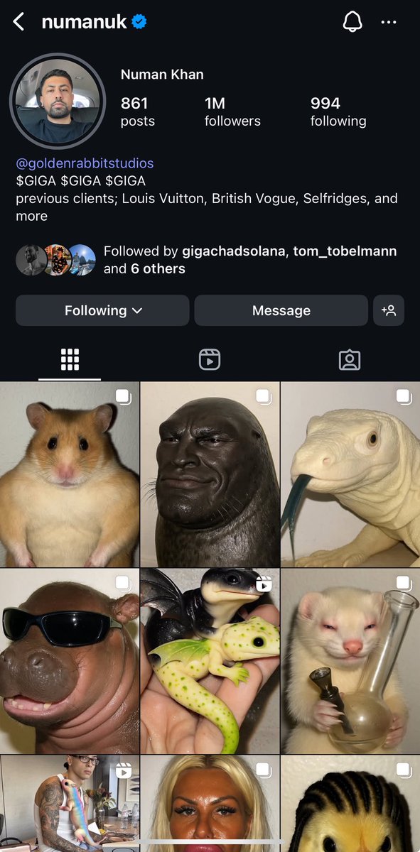 Hoptardio's tweet image. his $giga seal post has over 1.7m views in just a day!
$GIGA in his bio…