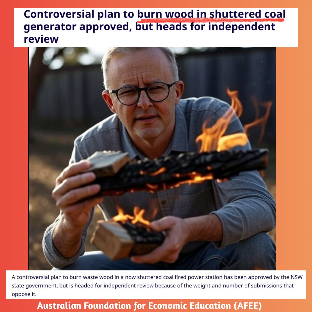 craigkellyAFEE's tweet image. So as part of the Net Zero scam, Australians are restricted from using coal to generate electricity (but it’s OK to ship our coal off to China for the Chinese to generate electricity) and now instead of using coal, the plan in Australia is to burn wood instead.…