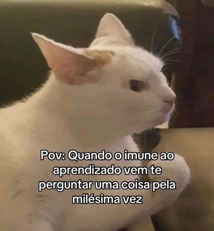 paginalixo1's tweet image. 