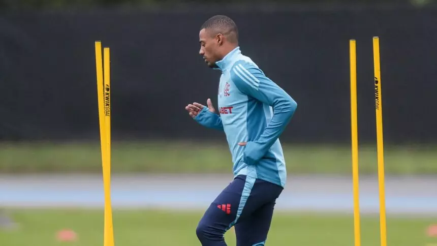 Venê Casagrande tweet media