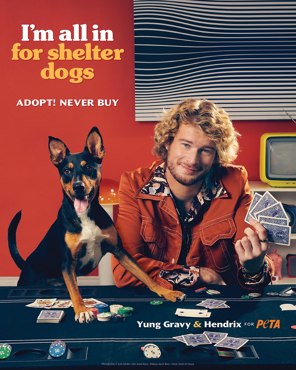 peta's tweet image. He’s got sauce, he’s got style, and he’s got Hendrix 🐶 @yunggravy and his rescue dog Hendrix know shelter dogs are the real jackpot 🐾 #AdoptDontShop