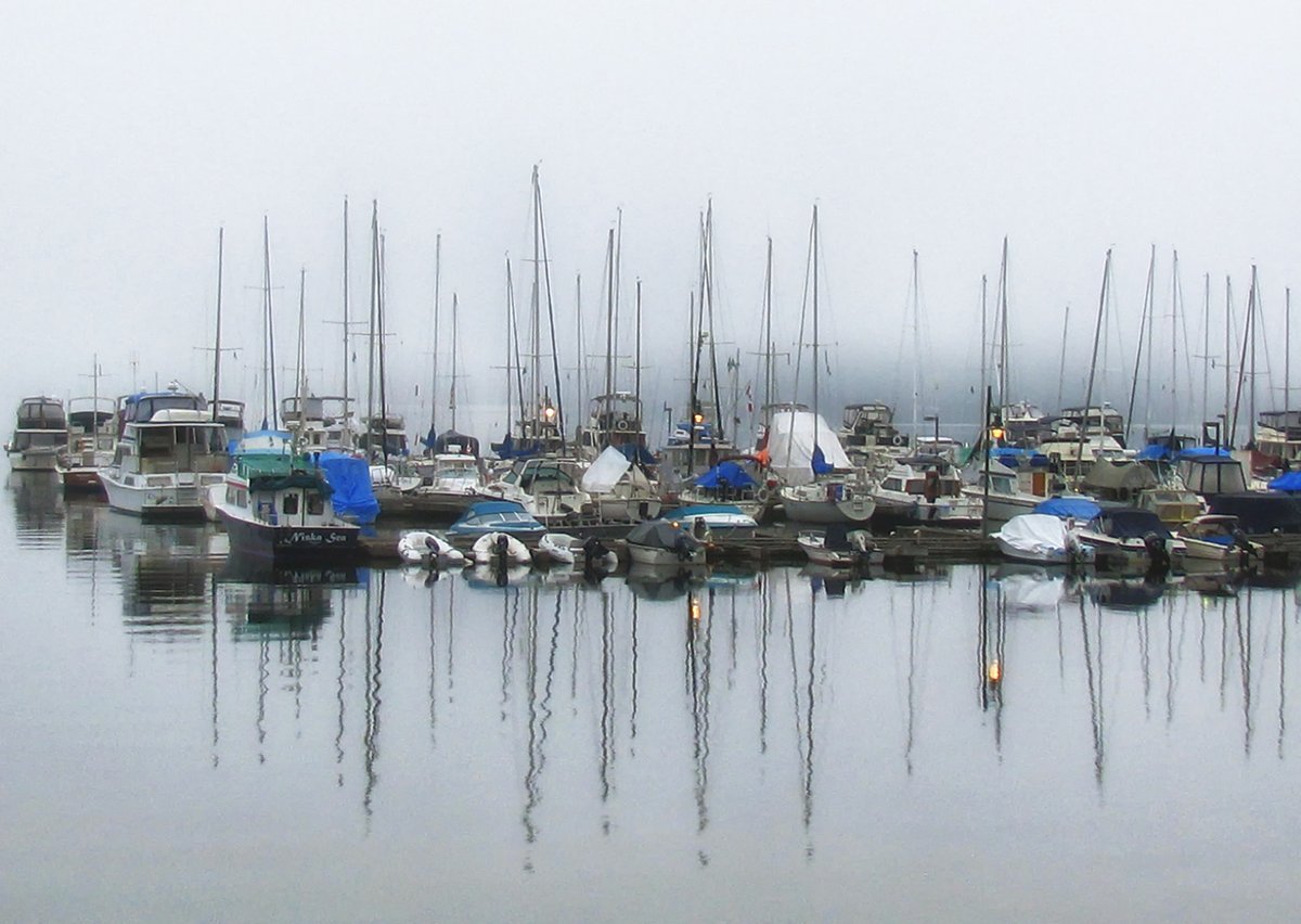Sam_Alexandra23's tweet photo. @JohnGetchel #Water and boats in the fog #DeepCoveBC https://t.co/2vukjOPCbx