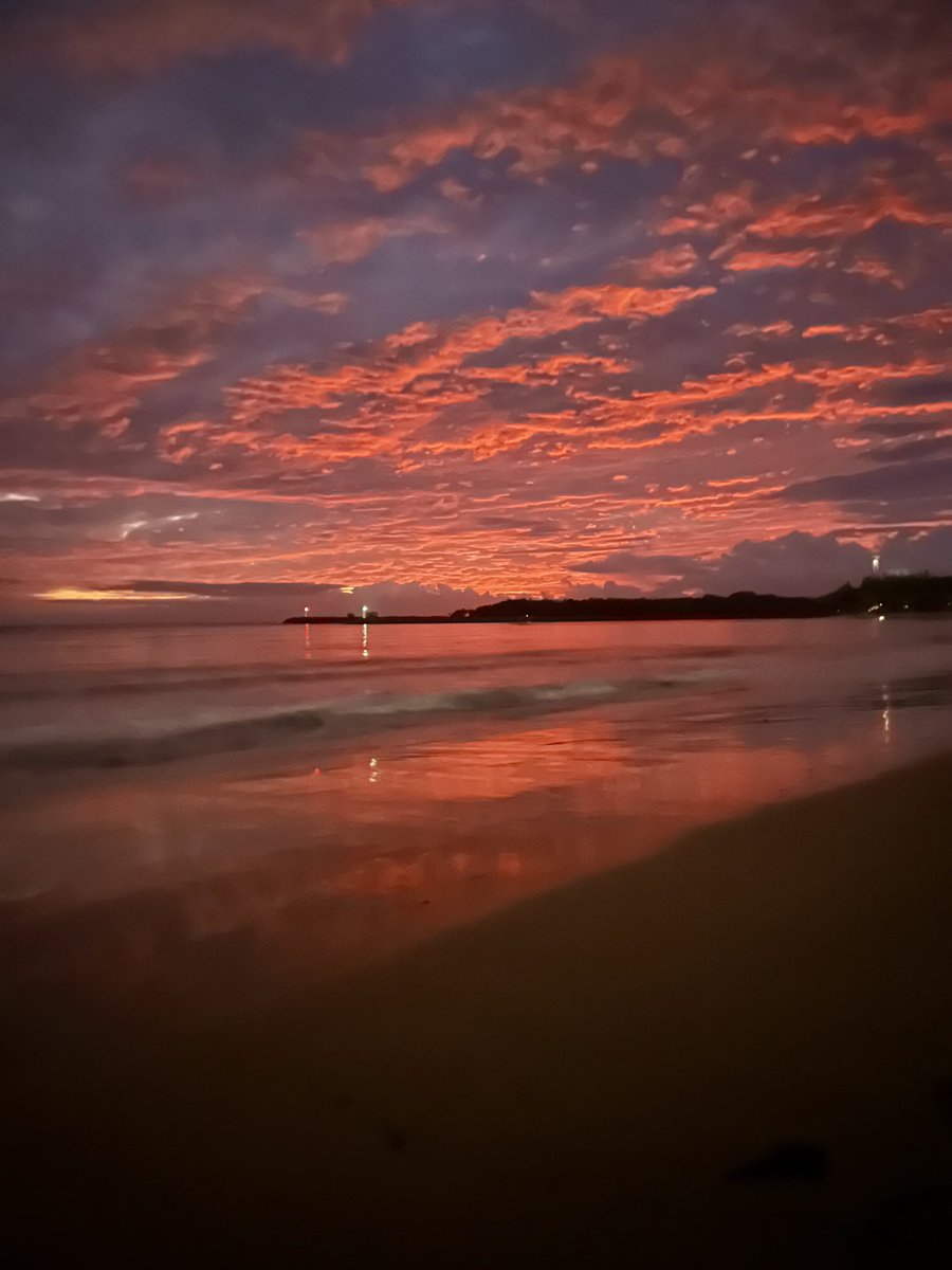 PatriciaLongw10's tweet image. Wow