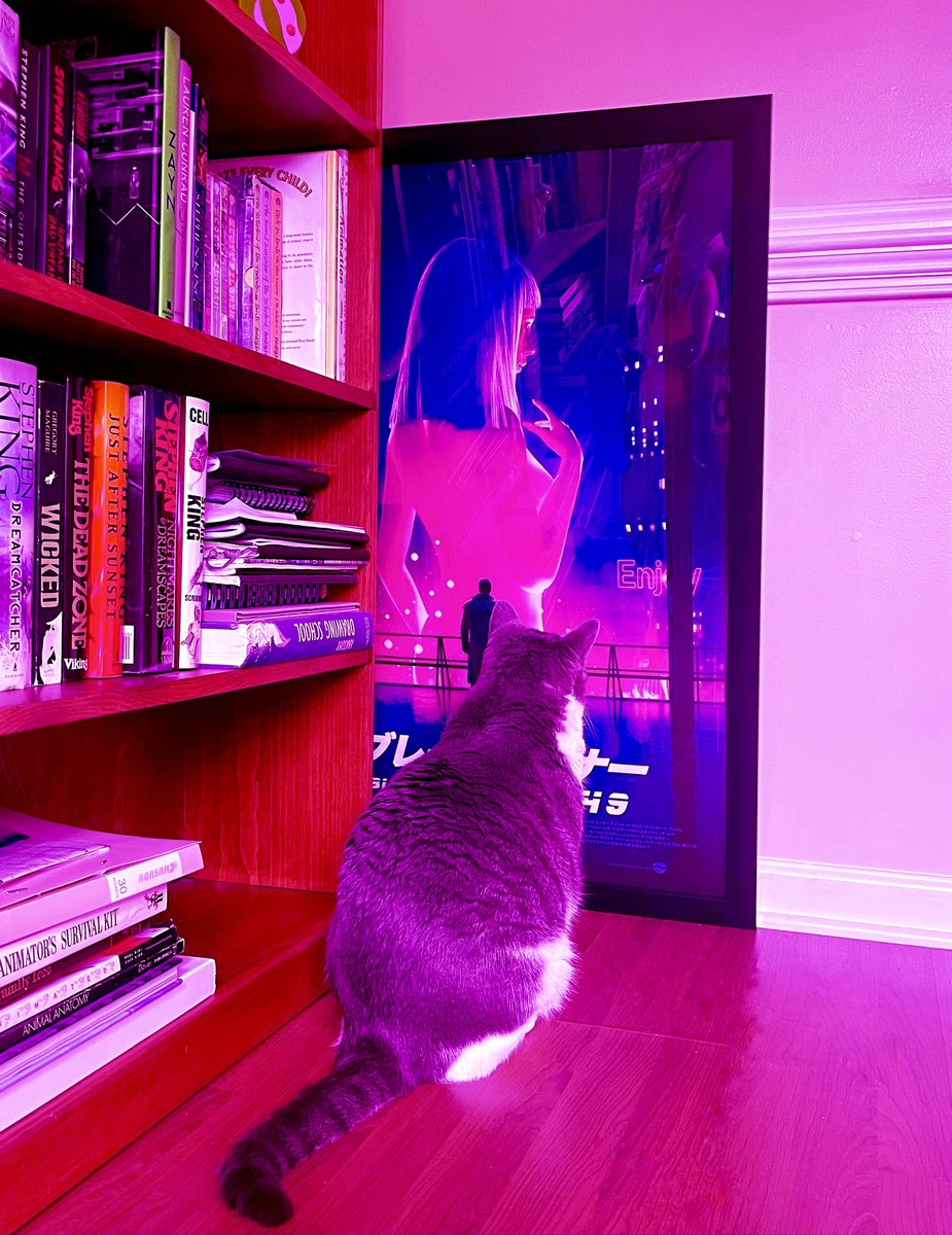 Jawmuncher's tweet image. “Your Cat can have the same mental problems as you”
“You look lonely, I can fix that.”