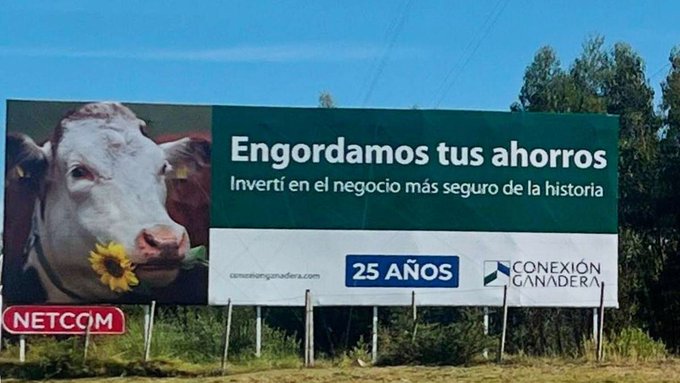 TanqueShirley's tweet image. 🧵Vamos a repasar todos y cada uno de los detalles de la mayor estafa de la historia de Uruguay, Conexión Ganadera. Fliares de políticos metidos, muertes como mínimo sospechosas, y para el final les dejo una conexión política bastante evidente pero que no leí en ningún medio