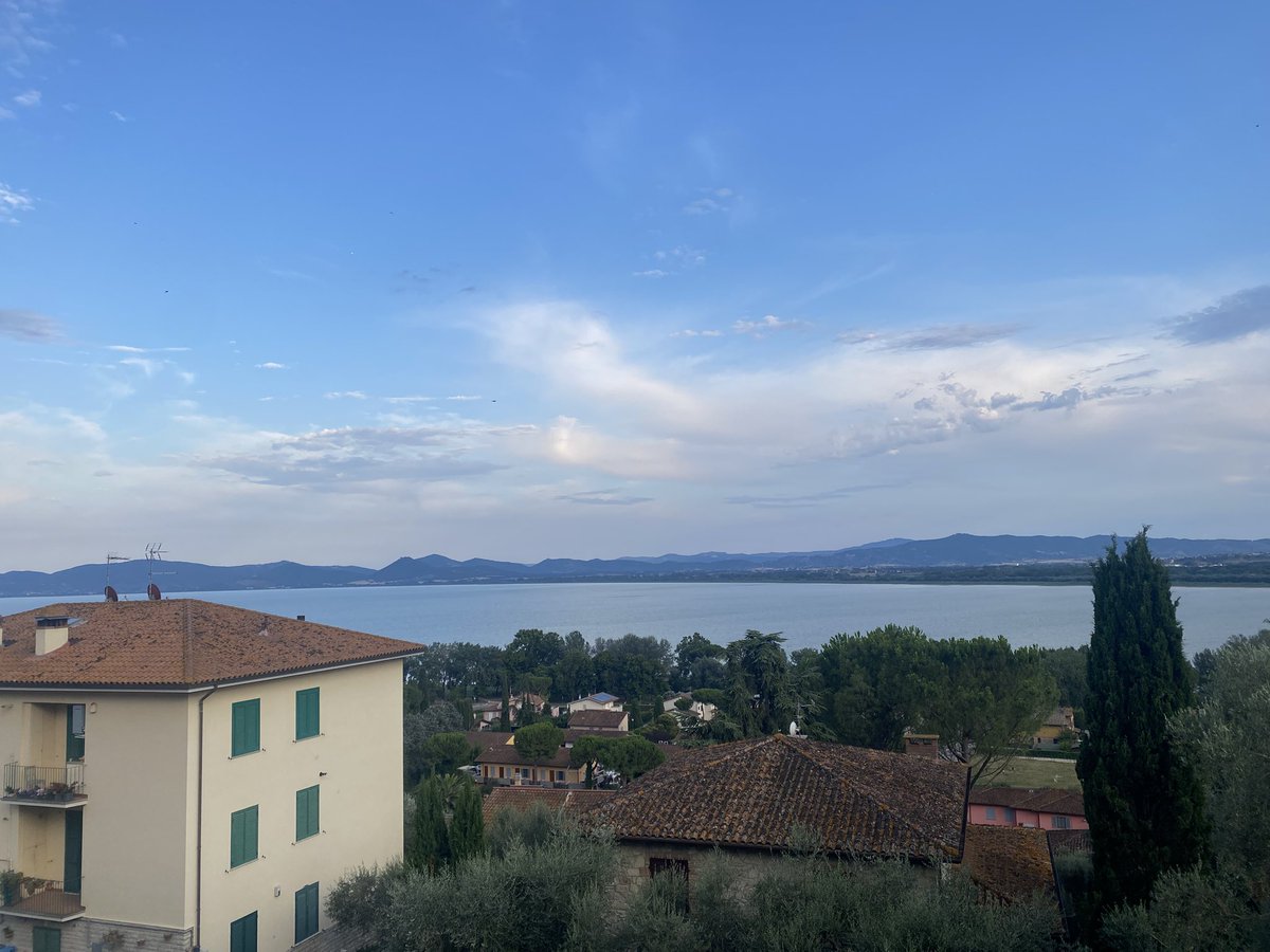 Colin Miller tweet media