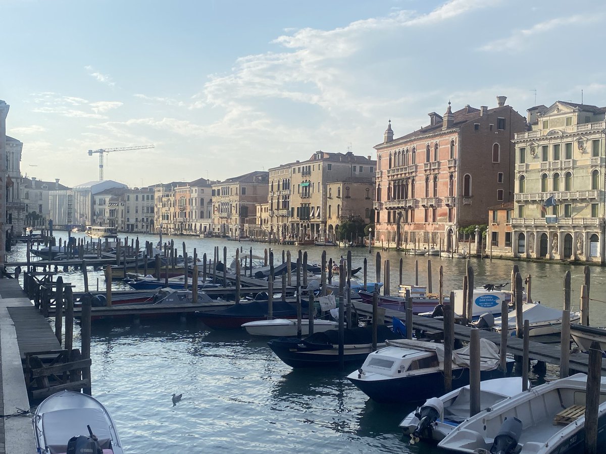 Colin Miller tweet media