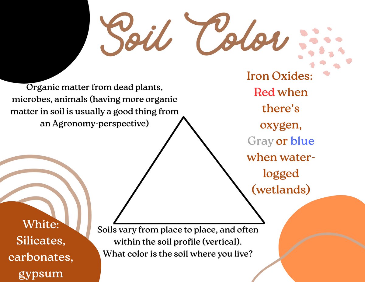 soilsdiva tweet media