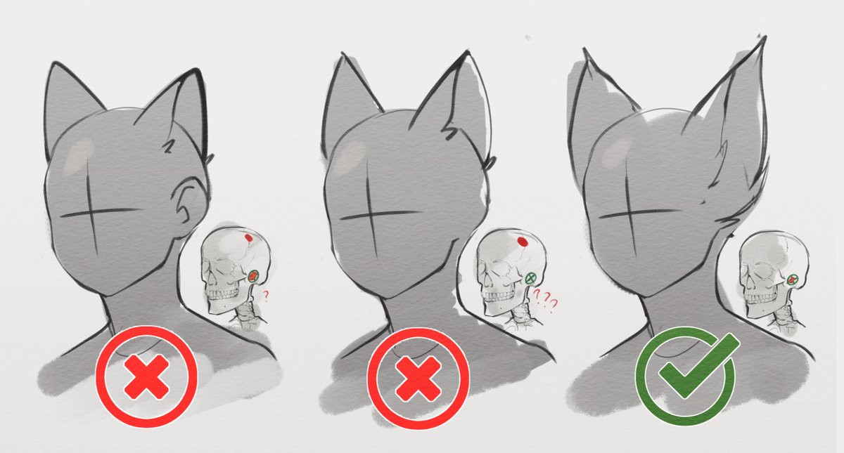 I'm needlessly passionate about Beastkin Ears. Bring it. (งಠ_ಠ)ง