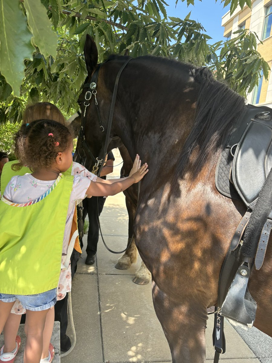 UWMadisonPolice's tweet image. Our animals sure loved visiting the kiddos from the Child Development Lab at @UWSoHE today! Hoagie, Vetter, and Rettke got plenty of well deserved head scratches!! Thanks for inviting our team over!