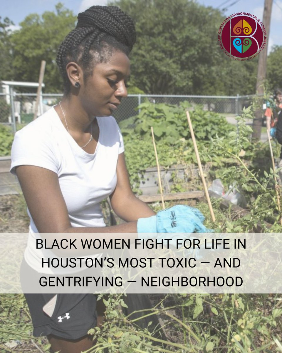 BullardCenter's tweet image. In House District 142, Black women in Settegast are demanding clean soil, safe housing, and accountability from polluters and public officials. Their leadership is transforming the fight for environmental justice.
🔗 capitalbnews.org/houston-black-…
#BlackWomenLead #EnvironmentalJustice…