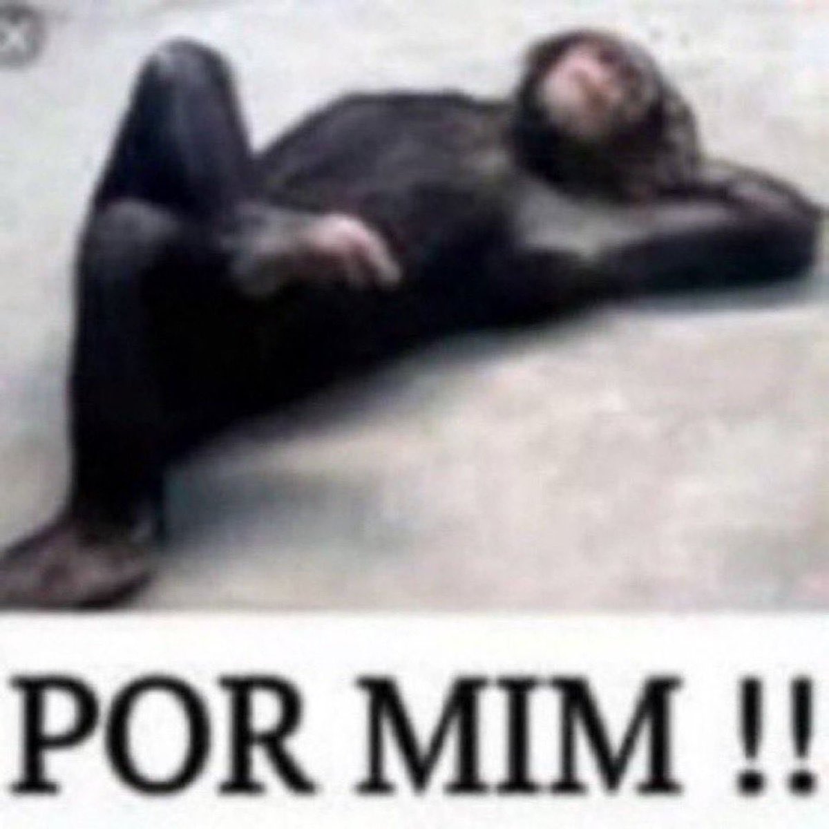 Afastou torcedor 
Perseguem jornalistas 
SAFadeza 
Recontrata estuprador