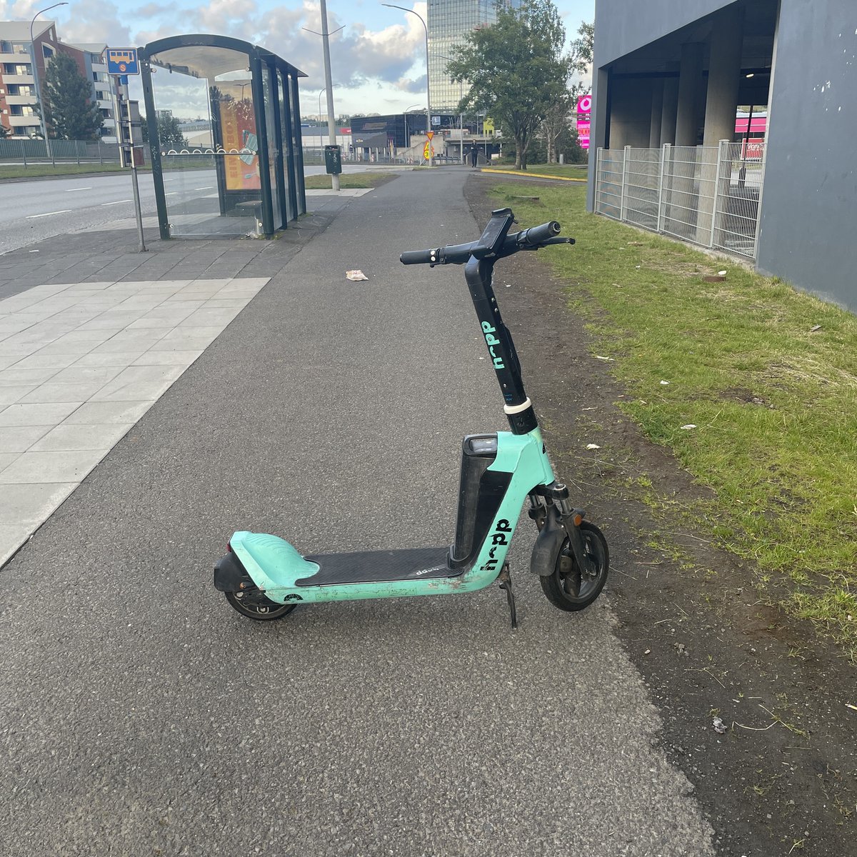 Verst lagða rafskútan (@verstlagda) on Twitter photo 