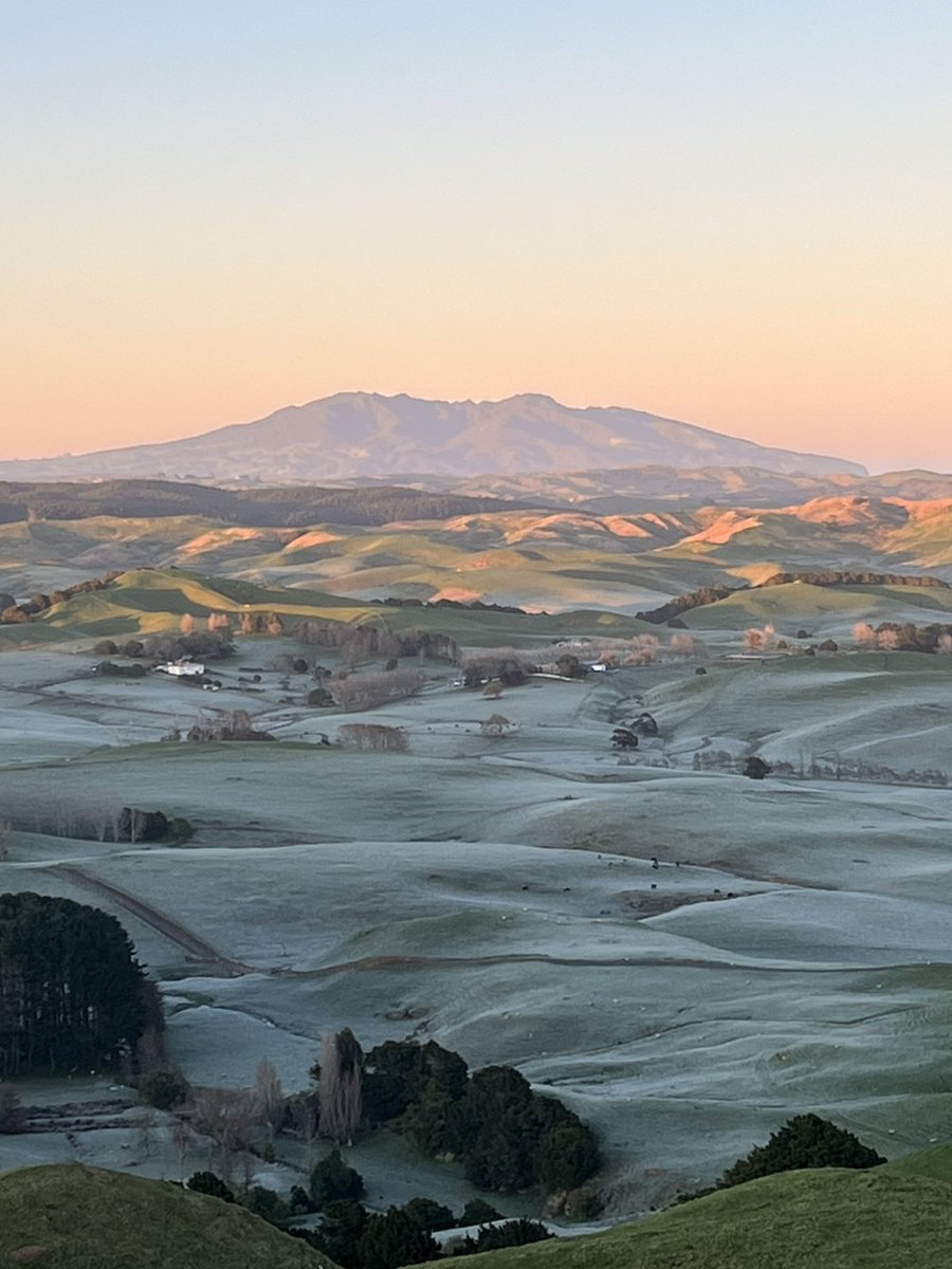 Stunning early winter’s morning at Te Akau Stud 🧡💙 <a href="/TeAkauRacing/">Te Akau Racing</a>